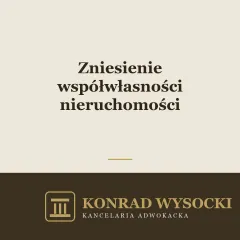 Zniesienie współwłasności nieruchomości — sposoby i procedura
